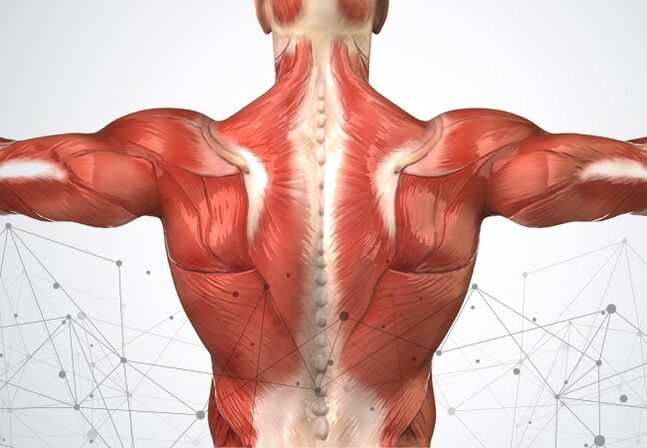 raumenų skausmas išilgai stuburo